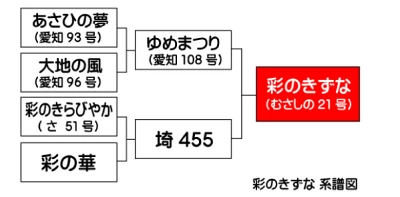 彩のきずな