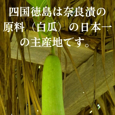 奈良漬け瓜