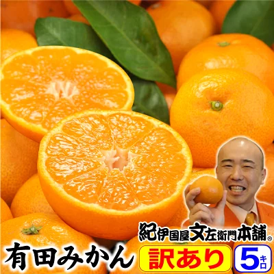 有田みかん