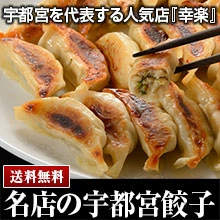 宇都宮餃子