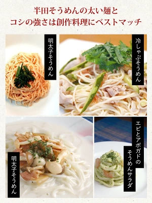 半田そうめん