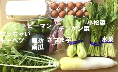 九州佐賀の農家直送野菜セット