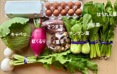 九州佐賀の農家直送野菜セット