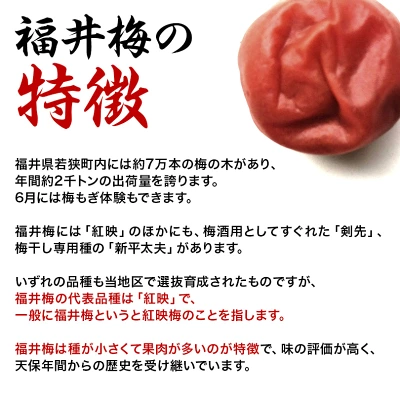 福梅ぼし