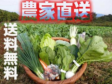 九州佐賀の農家直送野菜セット